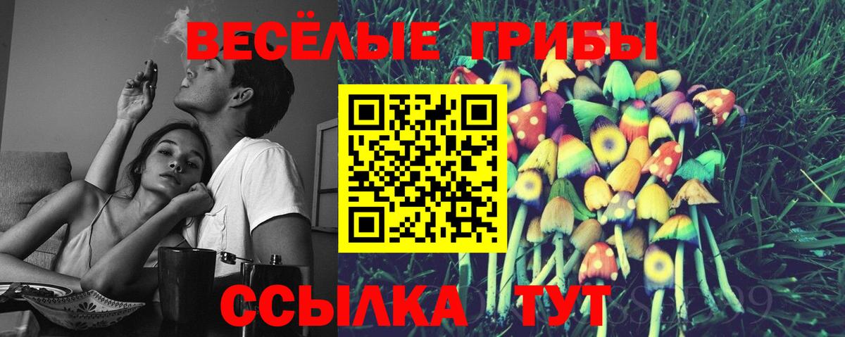 Галлюциногенные грибы ЛСД Гудермес