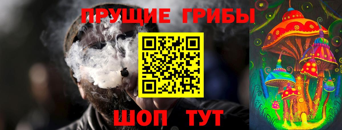 Гудермес  Галлюциногенные грибы Psilocybe  Вход с VPN 